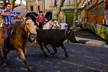 Running of the Bulls, in St. Remy-de-Provence