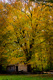 School House in Fall